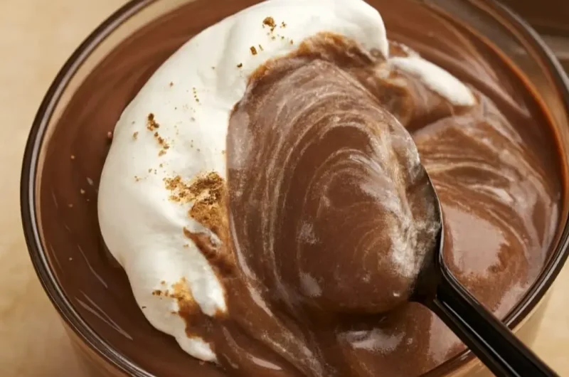 Quick Chocolate Pudding Recipe